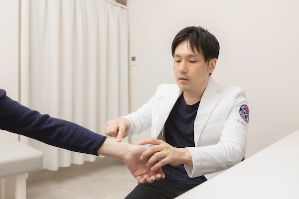 手・指の構造について